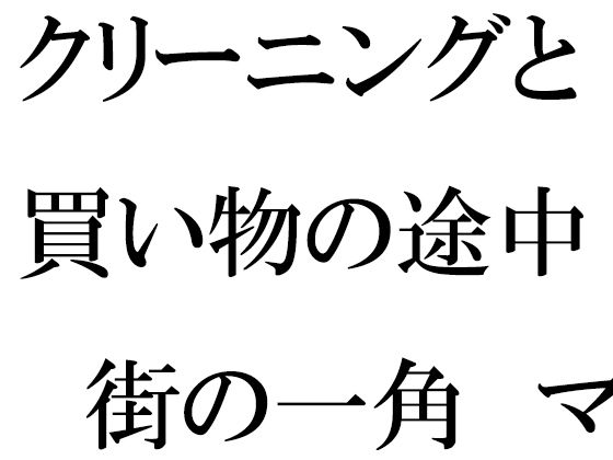 【クリーニングと買い物の途中 街の一角 マンション軒先での出会い】逢瀬のひび