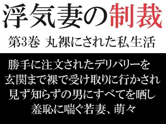 【浮気妻の制裁 第3巻 丸裸にされた私生活】海老沢  薫