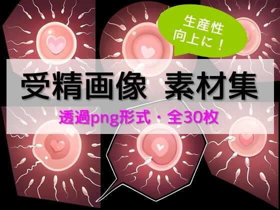 【【生産性向上に！】詰め合わせ素材集:卵子に精子が群がる受精画像30枚】ちいさなおてて