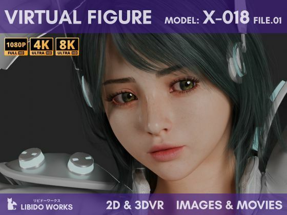 【2D＋3DVR VIRTUAL FIGURE MODEL:X-018 FILE.01】LIBIDO WORKS