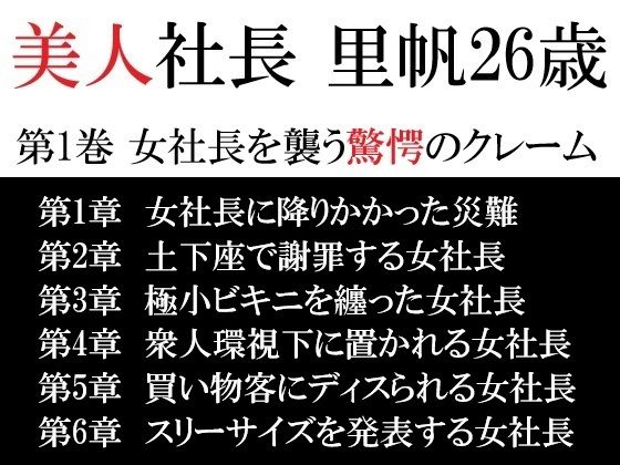 【美人社長 里帆26歳 第1巻 女社長を襲う驚愕のクレーム】海老沢  薫