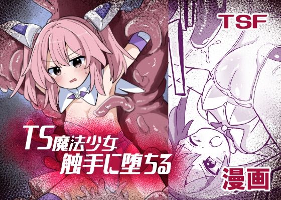 【TS魔法少女、触手に堕ちる】さね野郎