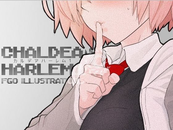 【カルデア・ハーレム1】con-patch