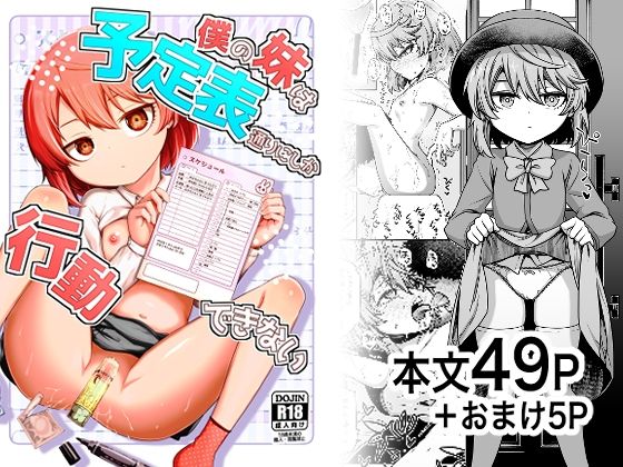 【僕の妹は予定表通りにしか行動できない】ひやかけごはん