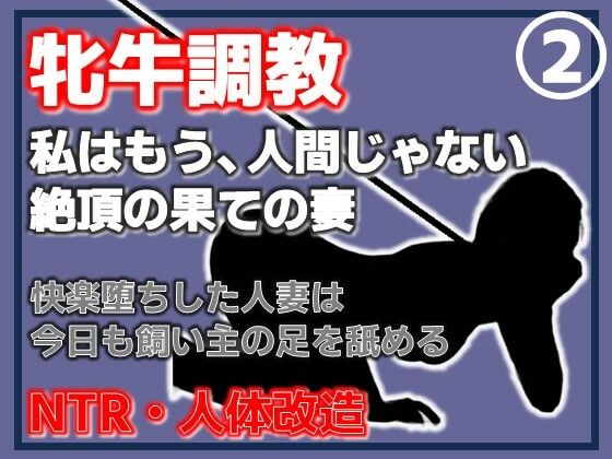 【【第2巻】人妻を従順な牝牛に改造・中出し・二穴・顔射、淫乱牝の完成】Aine Grace
