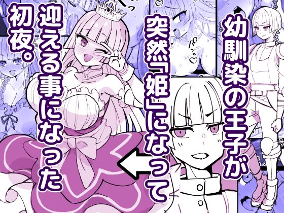【幼馴染の王子が突然「姫」になって迎える事になった初夜。】ひだかまいにち
